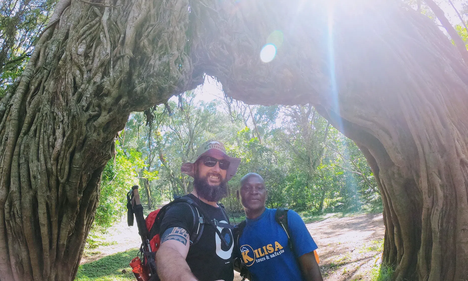 Fig Tree Arch