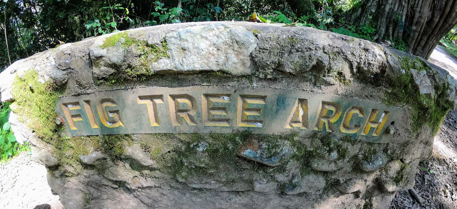 Fig Tree Arch Sign